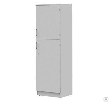 Лабораторный шкаф ЛАБ-PRO ШМЛ 60.50.193